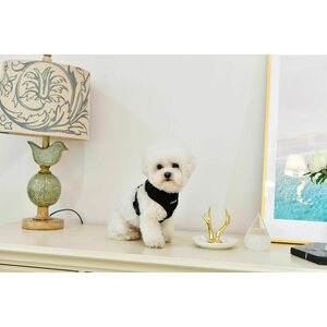 Puppia Ritefit A-valjas, beige