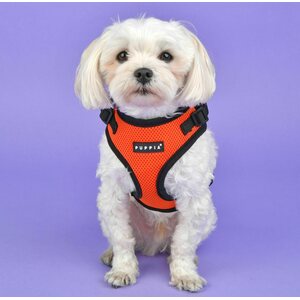 Puppia Ritefit A-valjas, beige