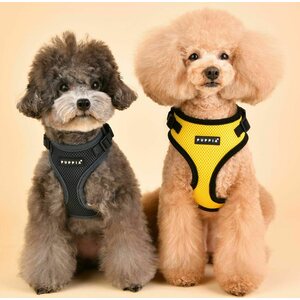 Puppia Ritefit A-valjas, beige