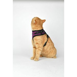 Puppia Ritefit A-valjas, harmaa