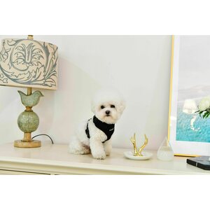 Puppia Ritefit A-valjas, harmaa