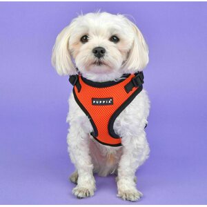 Puppia Ritefit A-valjas, harmaa
