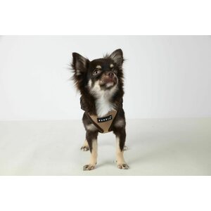 Puppia Ritefit A-valjas, harmaa