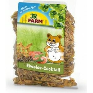 JR-Farm JR-proteiini-cocktail 10 g