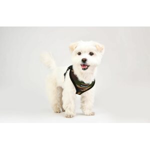 Puppia Soft-valjas, Camo