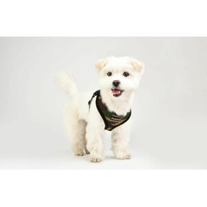 Puppia Soft-valjas, musta