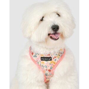 Puppia Lita A-valjas, Indian Pink