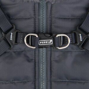 Puppia Takki ja valjas 2in 1 Donavan
