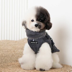 Puppia Takki ja valjas 2in 1 Donavan