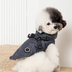 Puppia Takki ja valjas 2in 1 Donavan
