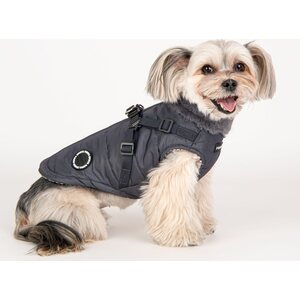 Puppia Takki ja valjas 2in 1 Donavan