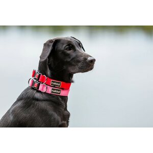 Rukka Pets Bliss panta Keltainen