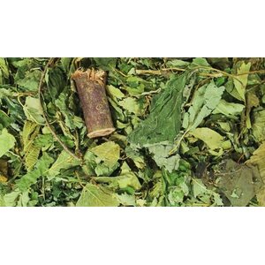 JR-Farm Metsäsekoitus 100g (erityisesti Chinchilloille