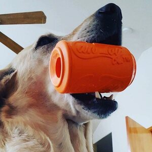 Sodapup Can Toy Extra Large –tölkkilelu oranssi