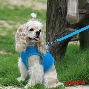 Puppia Soft Vest takkivaljaat B, keltainen