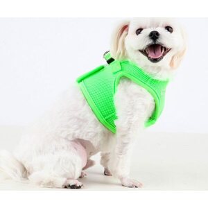 Puppia Neon Soft Vest takkivaljaat B, pinkki