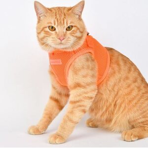 Puppia Neon Soft Vest takkivaljaat B, pinkki