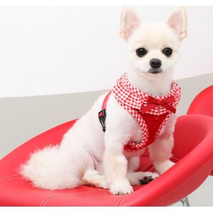 Puppia Vivien A-valjas, pinkki