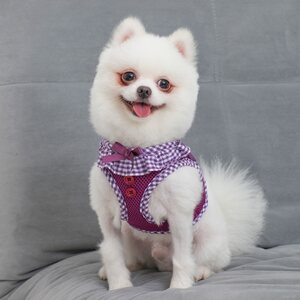 Puppia Vivien A-valjas, pinkki