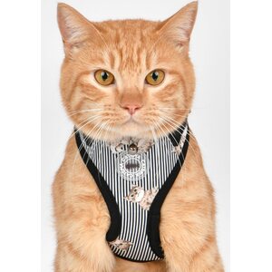 Catspia Moggy Superior valjaat