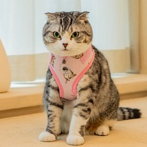 Catspia Moggy Superior valjaat