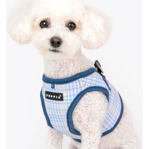 Puppia Luke takkivaljaat B, sininen