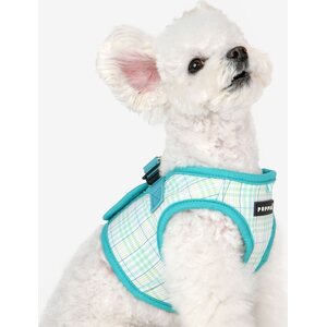 Puppia Luke takkivaljaat B, turkoosi