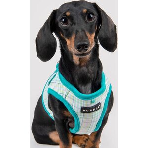 Puppia Luke takkivaljaat B, turkoosi