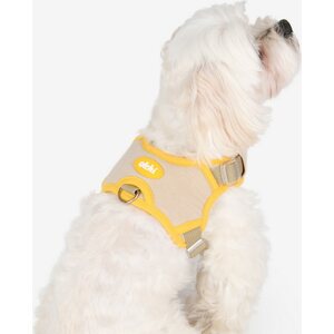 Olchi Jelly valjaat, Beige