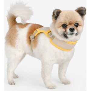 Olchi Jelly valjaat, Beige