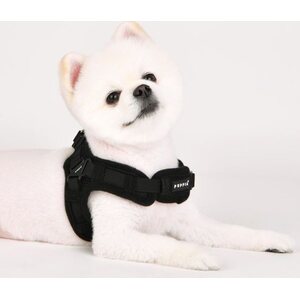 Puppia Pehmovaljas, X, pinkki