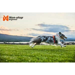 Non-Stop Dogwear Line valjas 5.0, sininen