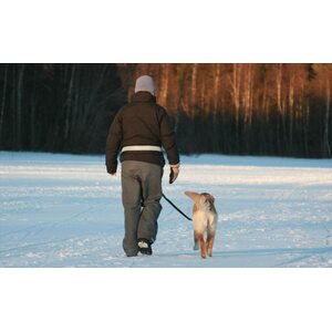 Baggen Softbelt, reflex