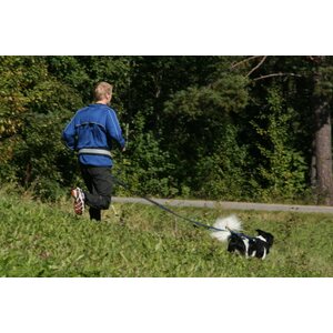 Baggen Softbelt, reflex