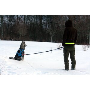 Baggen Softbelt, reflex, keltainen