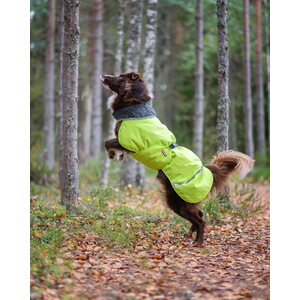Pomppa PerusPomppa Lime, koot 60cm ja 65cm
