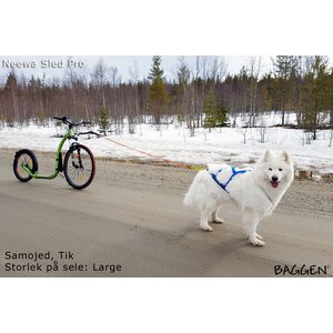 Neewa Sled Pro vetovaljaat, sininen