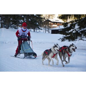 Neewa Sled Pro vetovaljaat, sininen