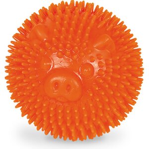 Nobby TPR-pallo Spiky possu, oranssi