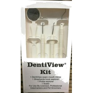 DentiView Kit hammashoitosetti