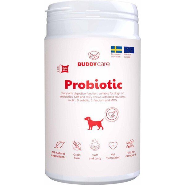 Buddy Probiotic 150g, makupala