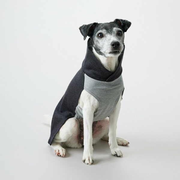 Paikka Recovery Winter Shirt koiran palautumispaita, harmaa